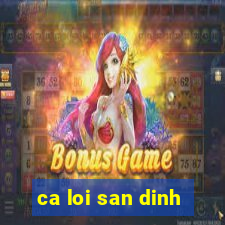 ca loi san dinh