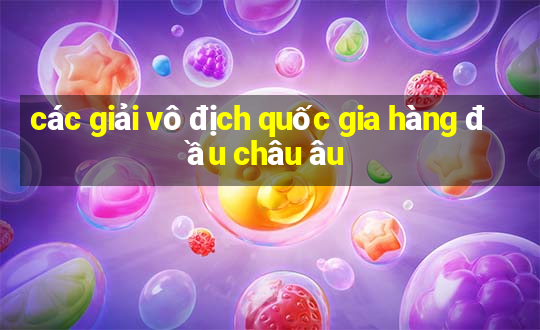 các giải vô địch quốc gia hàng đầu châu âu