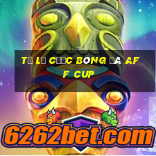 tỷ lệ cược bóng đá aff cup