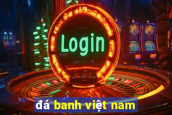 đá banh việt nam