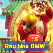 Rau bina BMW