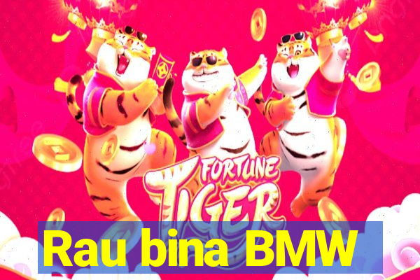 Rau bina BMW