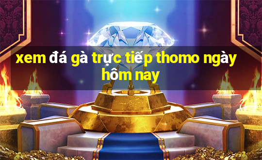 xem đá gà trực tiếp thomo ngày hôm nay