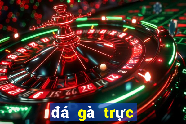 đá gà trực tiếp trường 67