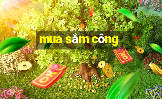 mua sắm công