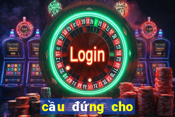 cầu đứng cho gà tre