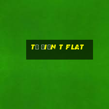 từ điển t flat