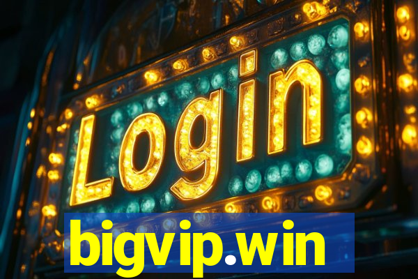 bigvip.win