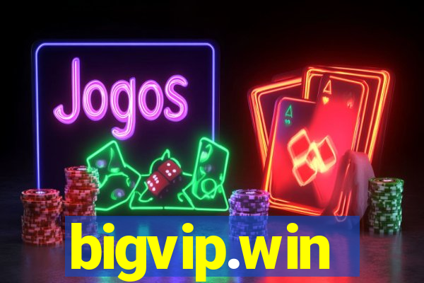 bigvip.win