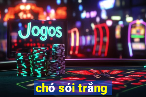 chó sói trắng