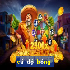 cá độ bóng đá club