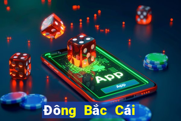 Đông Bắc Cái Pa c