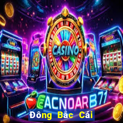 Đông Bắc Cái Pa c