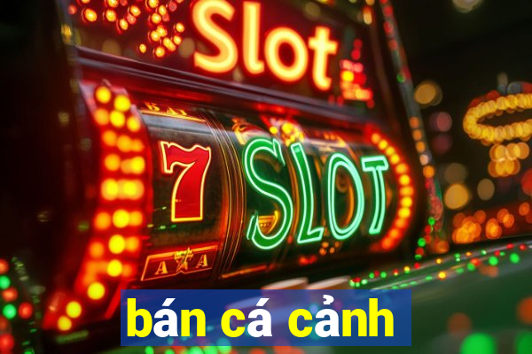 bán cá cảnh