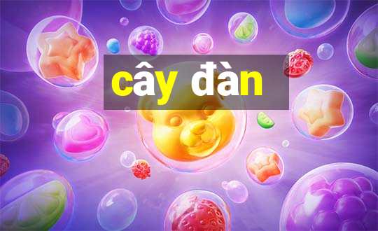 cây đàn