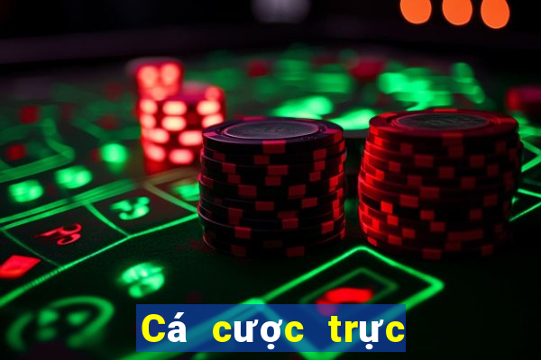 Cá cược trực tuyến vwin