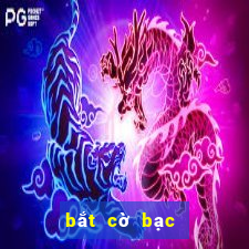 bắt cờ bạc online mới nhất 2024