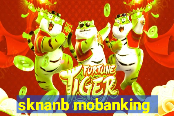 sknanb mobanking