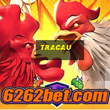 tracau