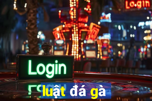 luật đá gà