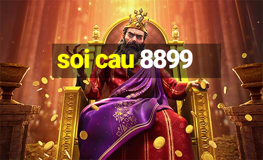 soi cau 8899