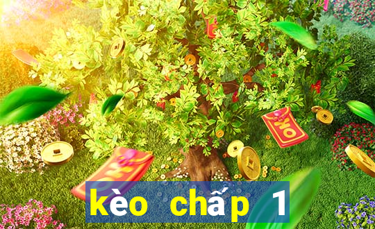 kèo chấp 1 trái 1 4 là sao