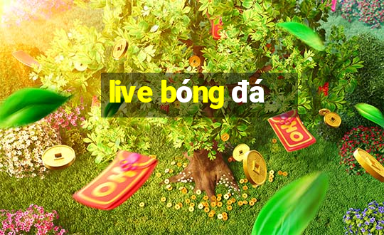 live bóng đá