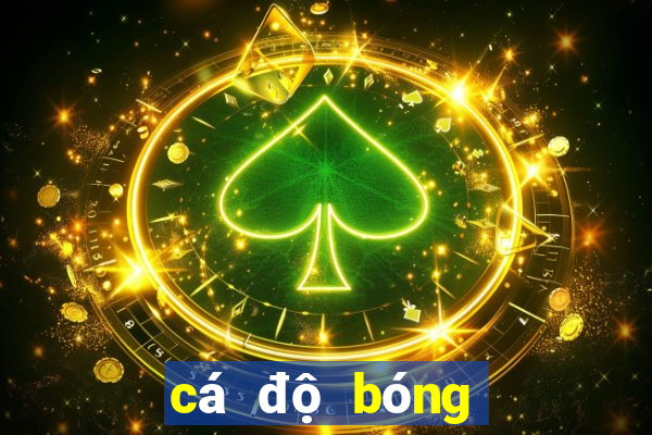 cá độ bóng đá hôm nay