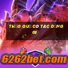 thảo quả có tác dụng gì