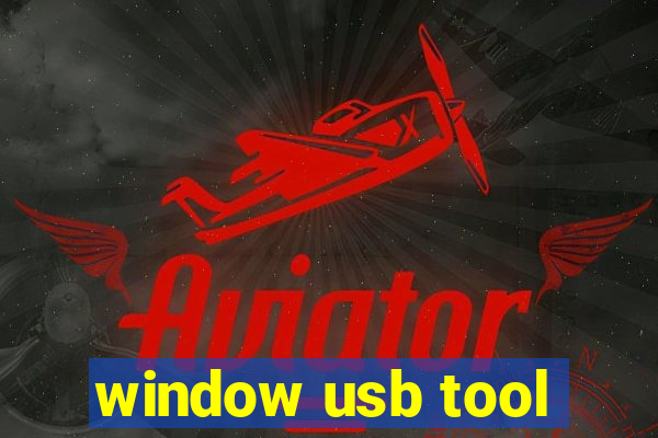 window usb tool