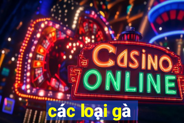 các loại gà