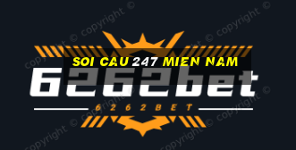 soi cau 247 mien nam