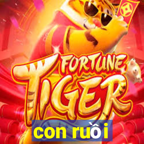 con ruồi