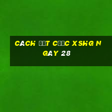 Cách đặt cược XSHG ngày 28