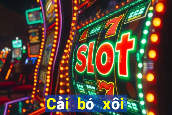 Cải bó xôi giao bắp cải 2021