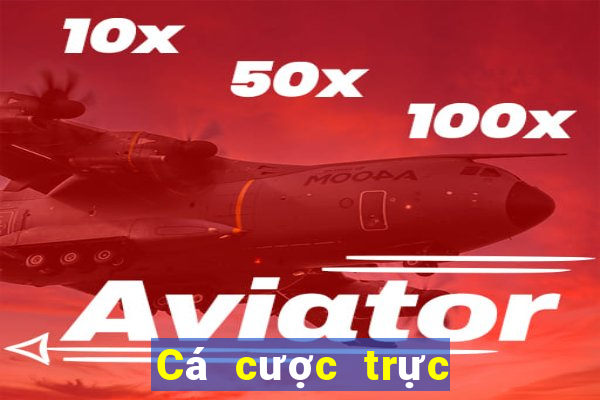 Cá cược trực tuyến ampm88