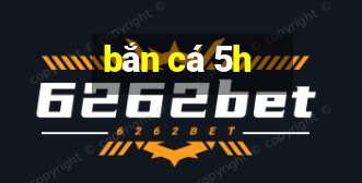 bắn cá 5h