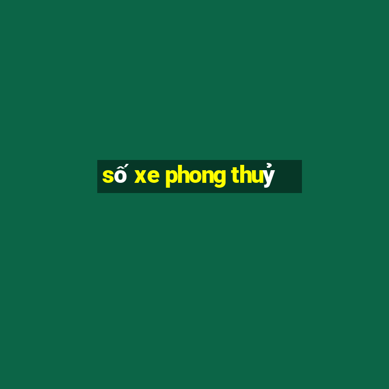 số xe phong thuỷ