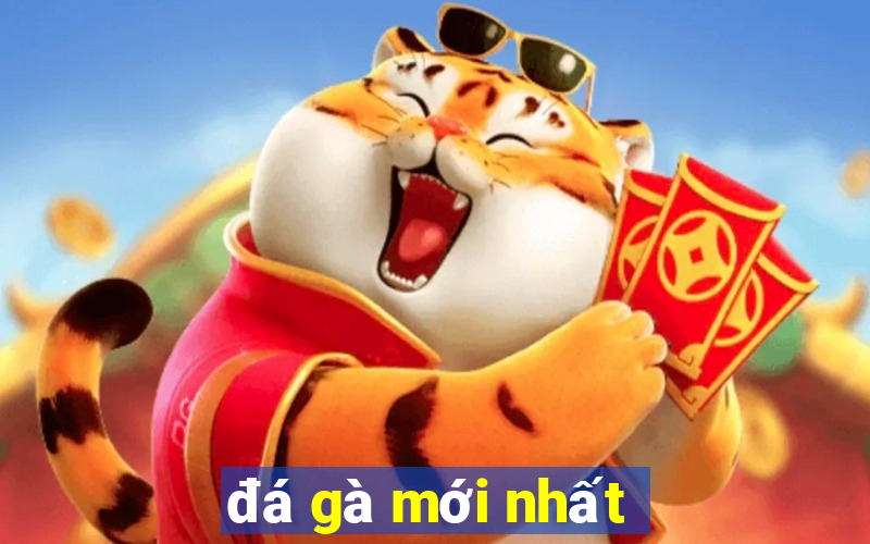 đá gà mới nhất