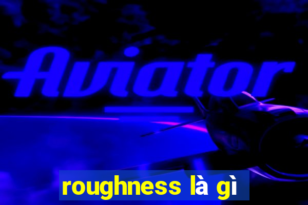 roughness là gì