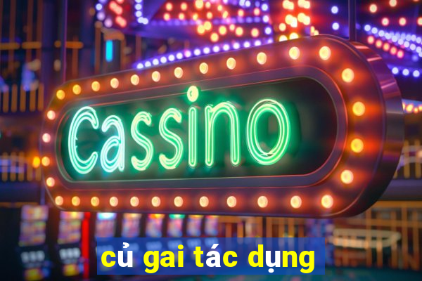 củ gai tác dụng