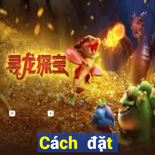 Cách đặt cược XSDNA thứ bảy