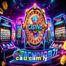 cầu cẩm lý