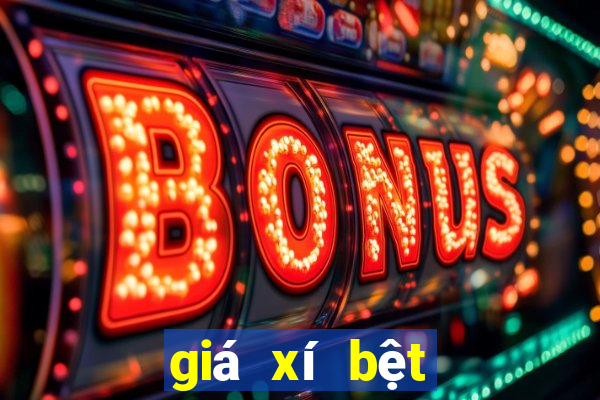 giá xí bệt inax 504