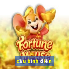 cầu bình điền