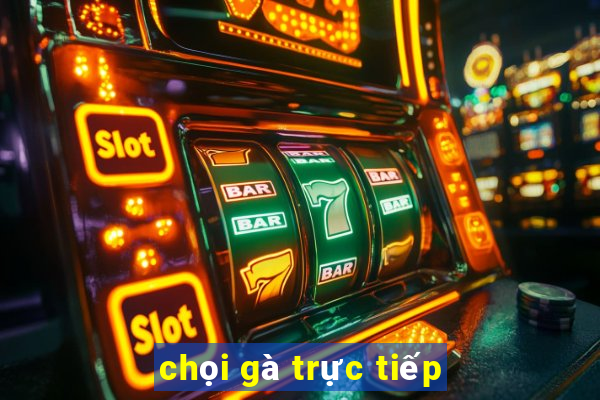 chọi gà trực tiếp