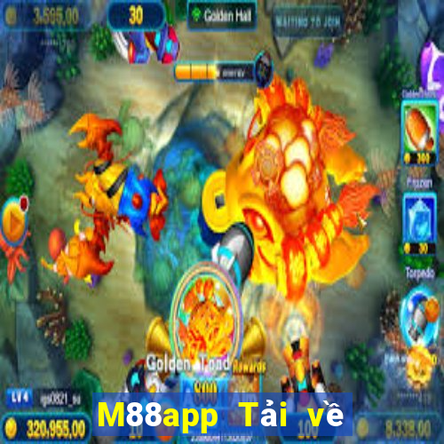 M88app Tải về Right Color app Android