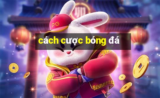 cách cược bóng đá