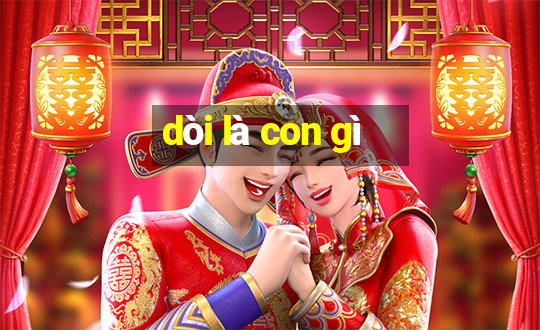 dòi là con gì