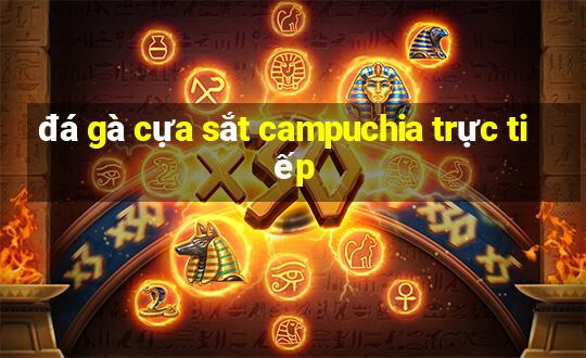 đá gà cựa sắt campuchia trực tiếp